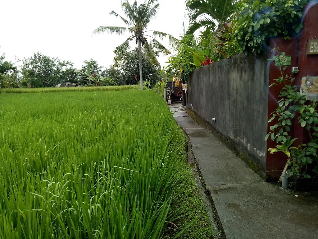 Villa Esa Ubud 0*,  Indonesia